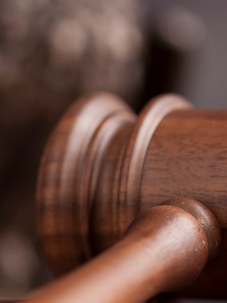 Law concept, owl in a judge gavel concept